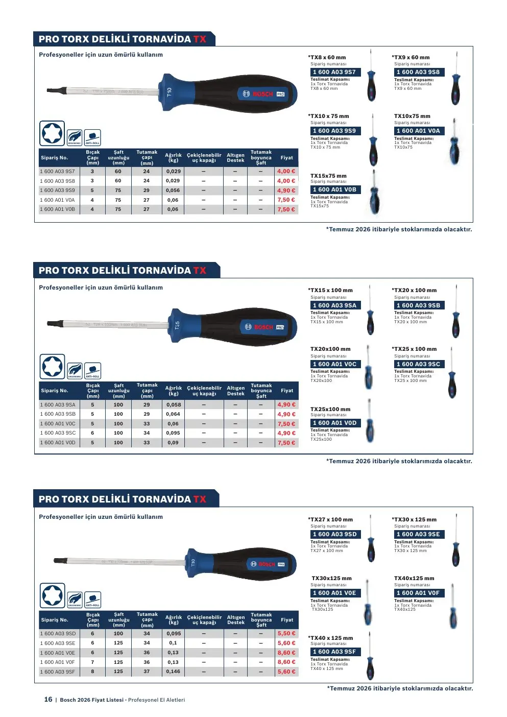 Bosch PRO TORX DELİKLİ TORNAVİDA TX