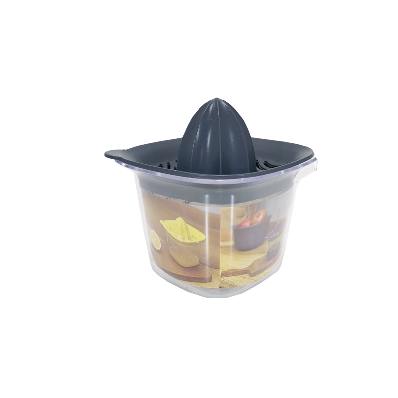 ORGANIZER/LEVAHOUSE LIMONLUK PURE ORG-90