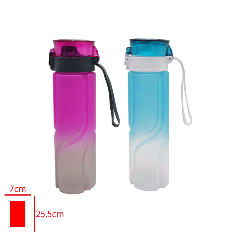MOTIVASYON MATARA 800 ML LV-3534