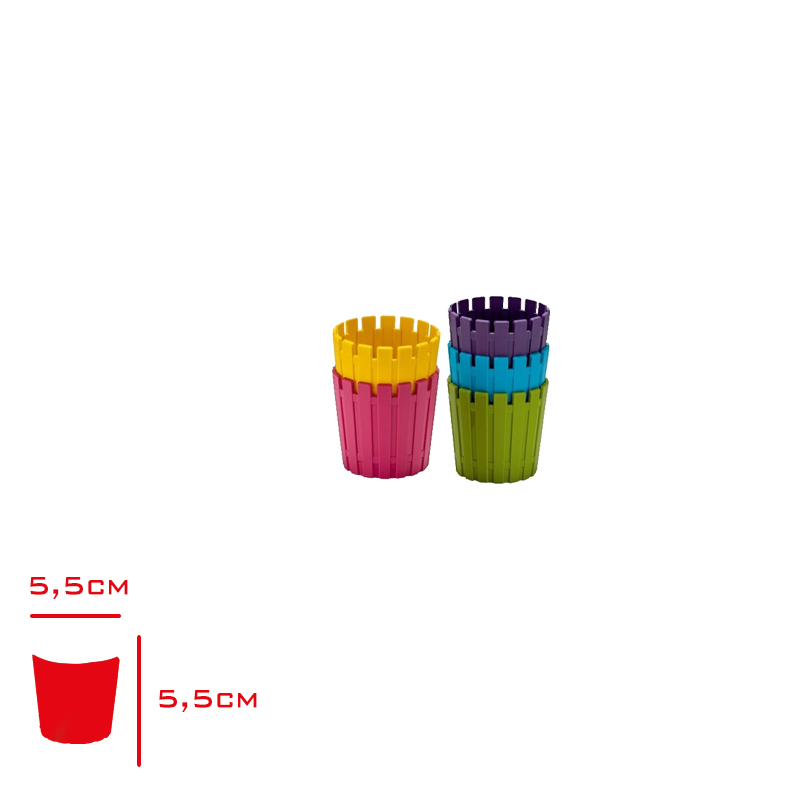 POLIWORK KAKTUS SAKSI AKASYA 5,5 CM MIX A-K55-P