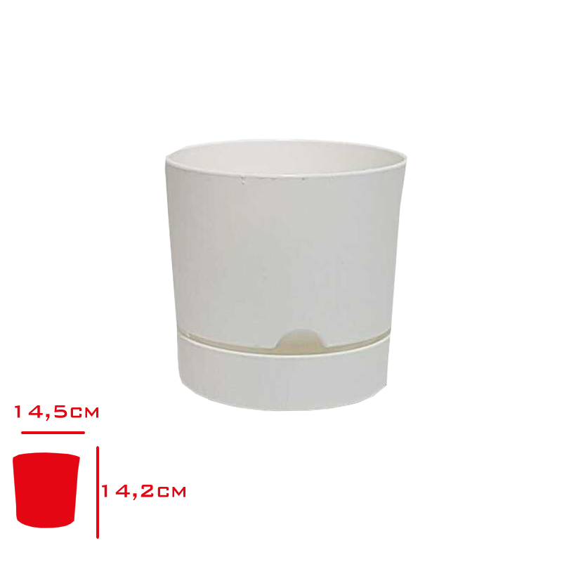 POLIWORK SAKSI BEGONYA 15 CM BEYAZ B-15BY