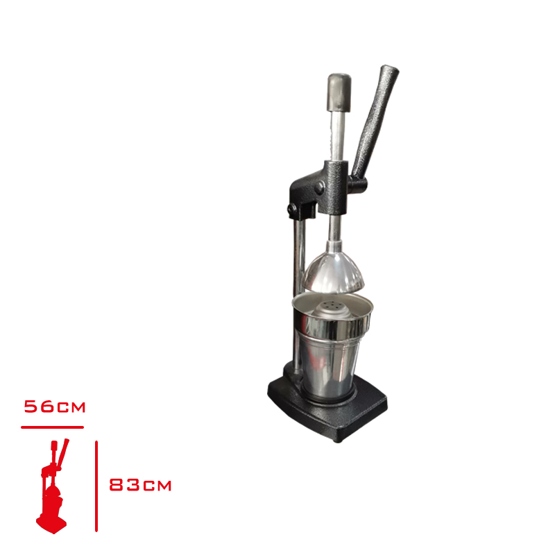 MEYVE PRESI CELIK KUCUK LV-2909