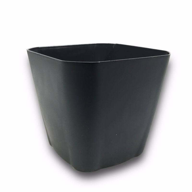 SERINOVA SAKSI SAFIR KARE 1 NO 0,8 LT 10*10 CM S001