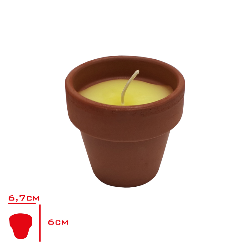 MISTIQUE MUM TOPRAK SAKSIDA CITRONELLA
