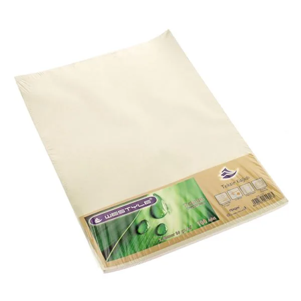 Teksir Kağıdı A4 Bm842(Bm254) 50 Gr 100 Lü