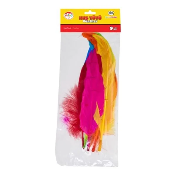 Kuş Tüyü Mileo 1848 10 Lu Renkli