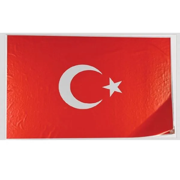 Bayrak Türk 75X50 Kağıt Statik Panda Pan796 2Li