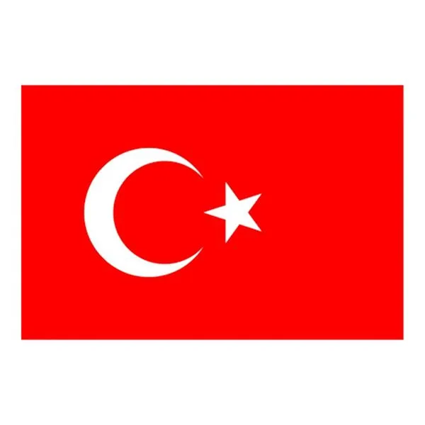 Bayrak Türk 400X600 Erol Alpaka