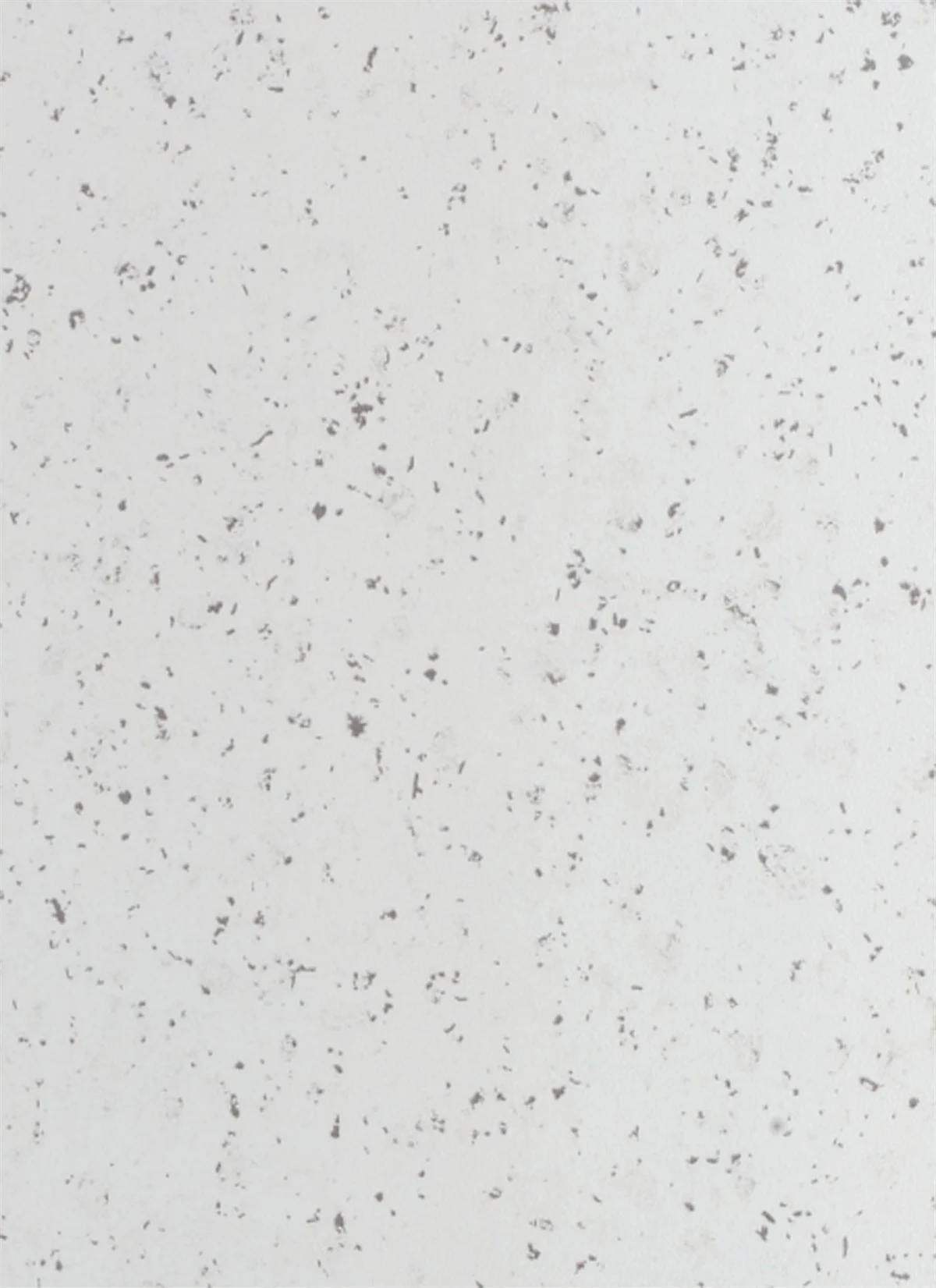 Laminant Tezgah 61 cm Beyaz
