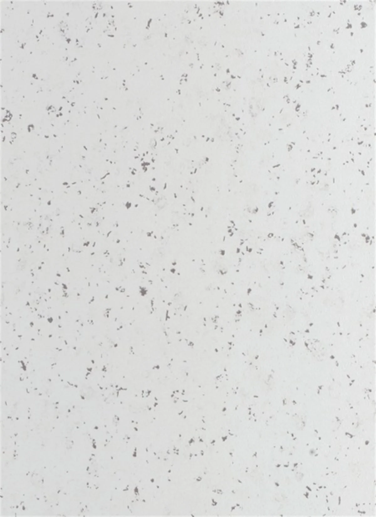 Laminant Tezgah 60 cm Beyaz