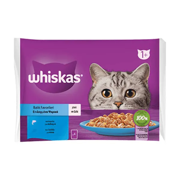 Whiskas Pouch Jöle İçinde Somonlu ve Ton Balıklı Yetişkin Kedi Pouch 85gr (4'lü