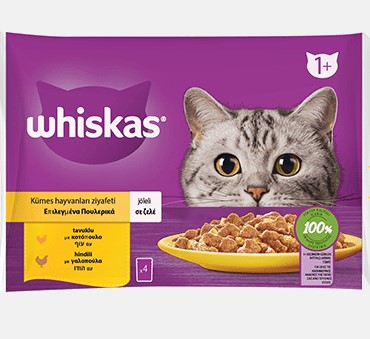 Whiskas Pouch Jöle İçinde Kümes Hayvanlı Yetişkin Kedi 85gr (4'lü